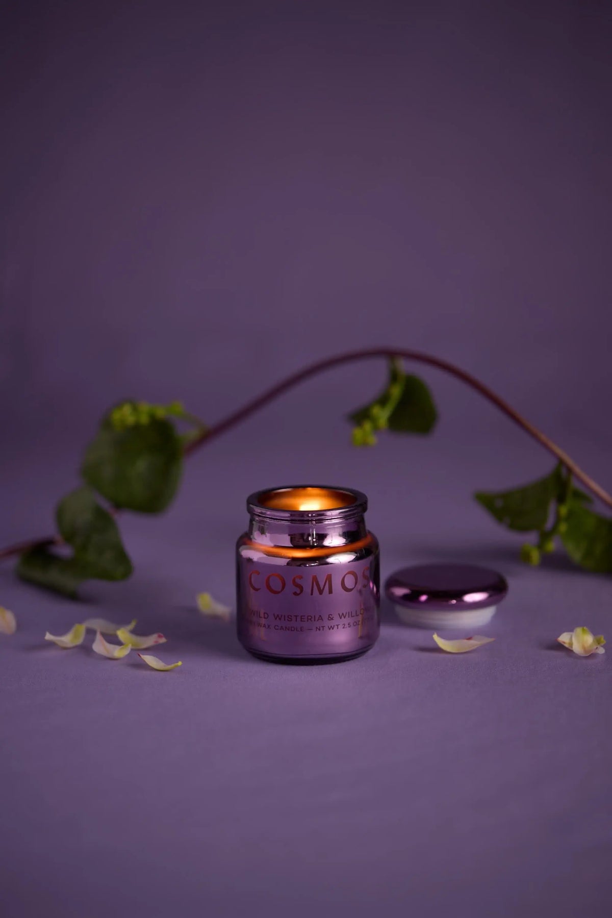 A lit Wisteria & Willow - Chroma 2.5 oz Candle in an electroplated glass metallic jar sits on a purple surface with flower petals and a leafy vine in the background. Part of the Chroma Collection candles, its lid rests beside the candle.