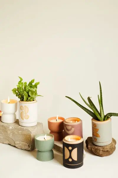 The Ocean Rose & Bay - Form 6 oz Candle and small potted plants in stylish planters are displayed on stone slabs against a simple, light backdrop—creating an inviting setting for home decor inspiration.