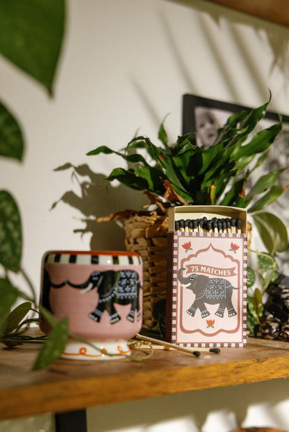 A pink mug and an A Dopo "Elephant" - 75ct Boxed Matches sit on a wooden shelf, surrounded by green plants.