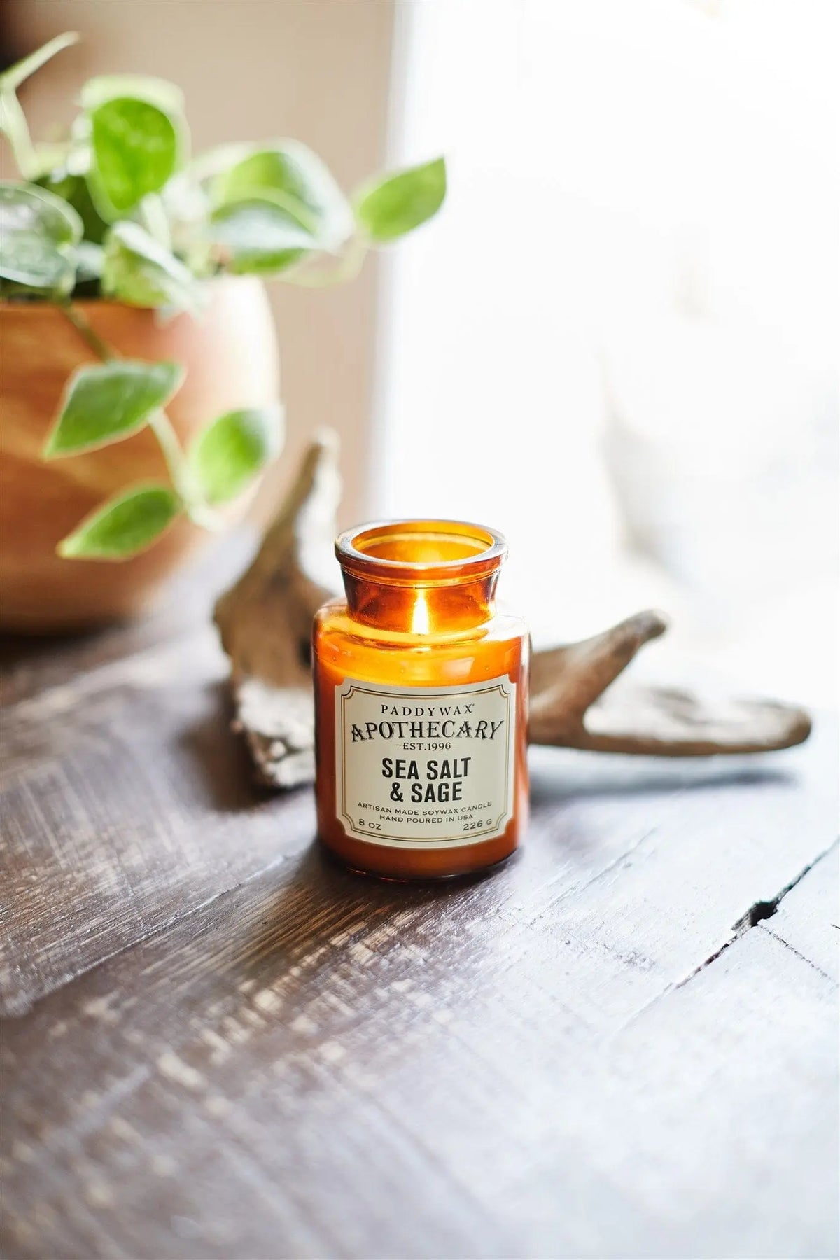 A lit Sea Salt + Sage - Apothecary 8 oz Candle in an amber glass jar sits on a wooden surface, filling the air with vintage-inspired notes alongside a potted plant and pieces of driftwood.