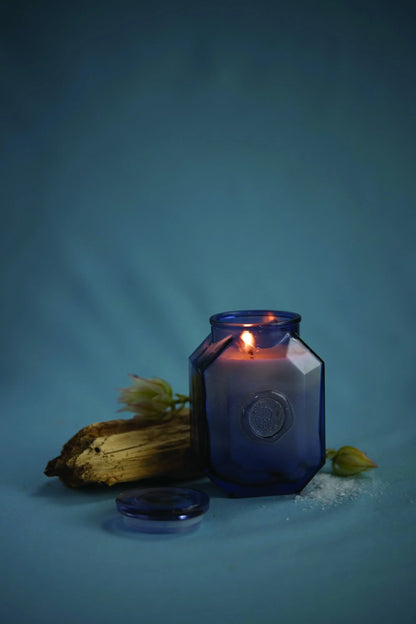 The Sea Salt + Amber - Botanica 8 oz Candle glows in a blue jar on a matching surface, surrounded by dried wood and green buds, adding an elegant home fragrance against the serene blue background.