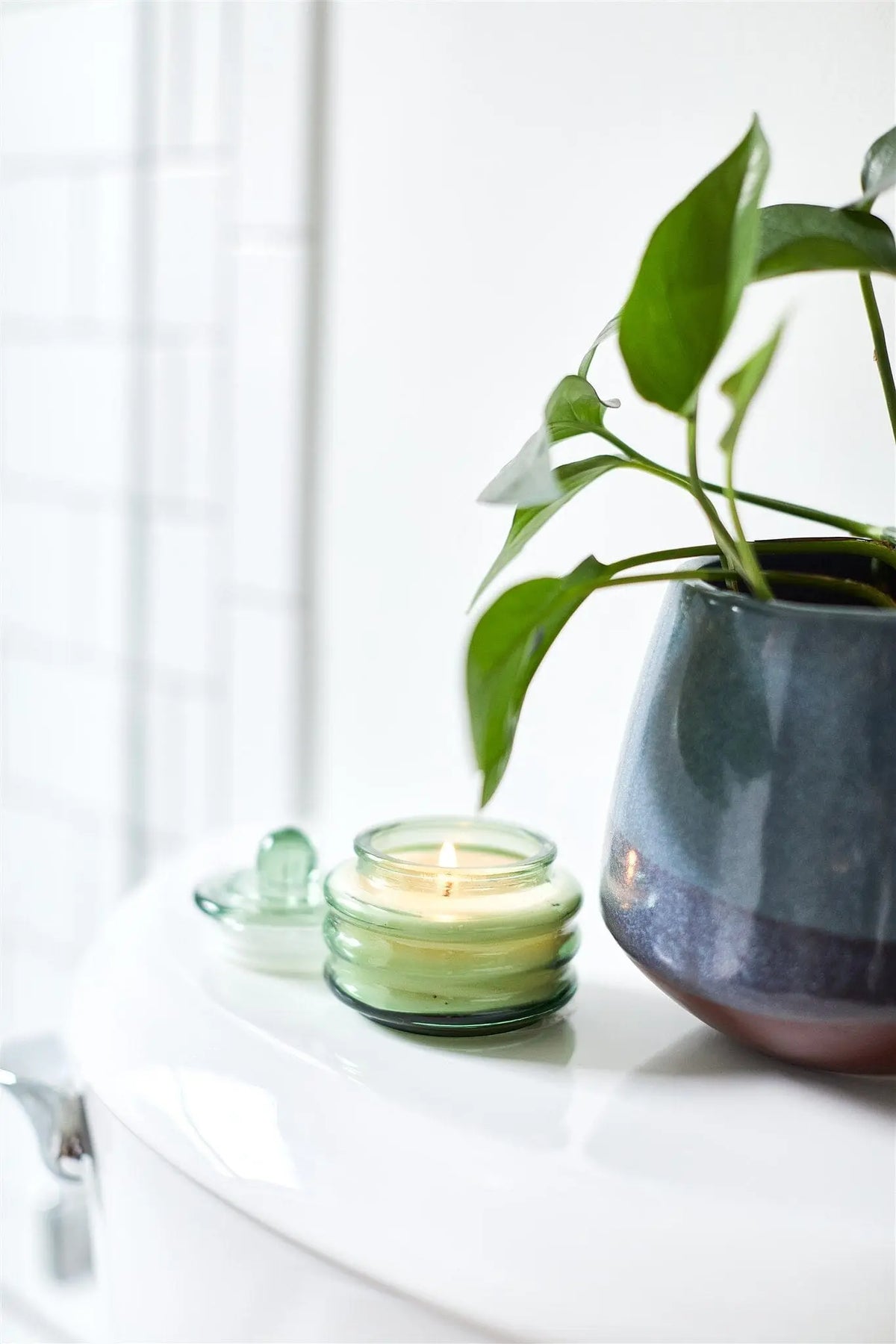 A green potted plant and the Misted Lime - Beam 3 oz Candle add ambient light and elegant style atop the white toilet tank.