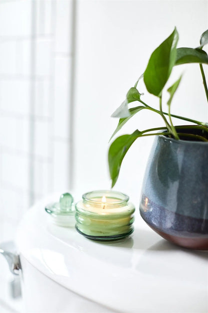 A green potted plant and the Misted Lime - Beam 3 oz Candle add ambient light and elegant style atop the white toilet tank.
