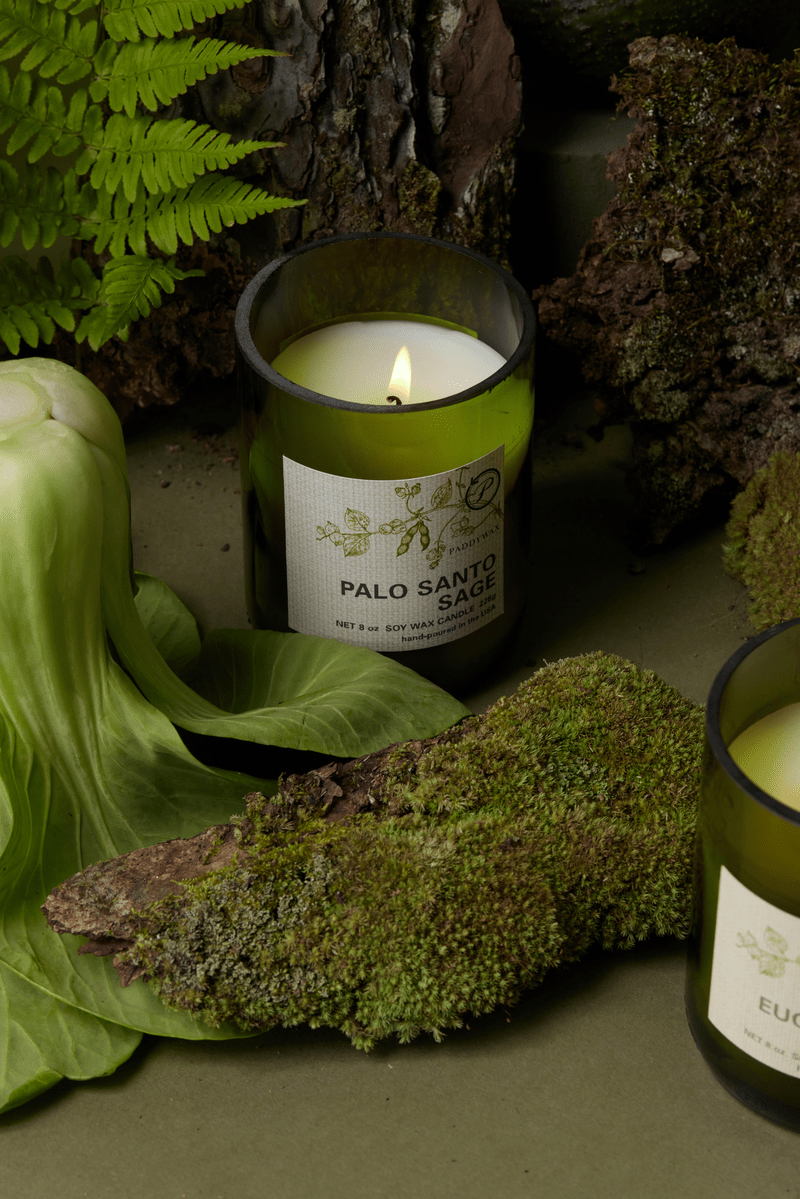 A lit Palo Santo Sage - Eco 8 oz Candle rests amid green ferns, mossy wood, and bok choy, creating a serene scene that emphasizes the candle’s sustainable, natural harmony.