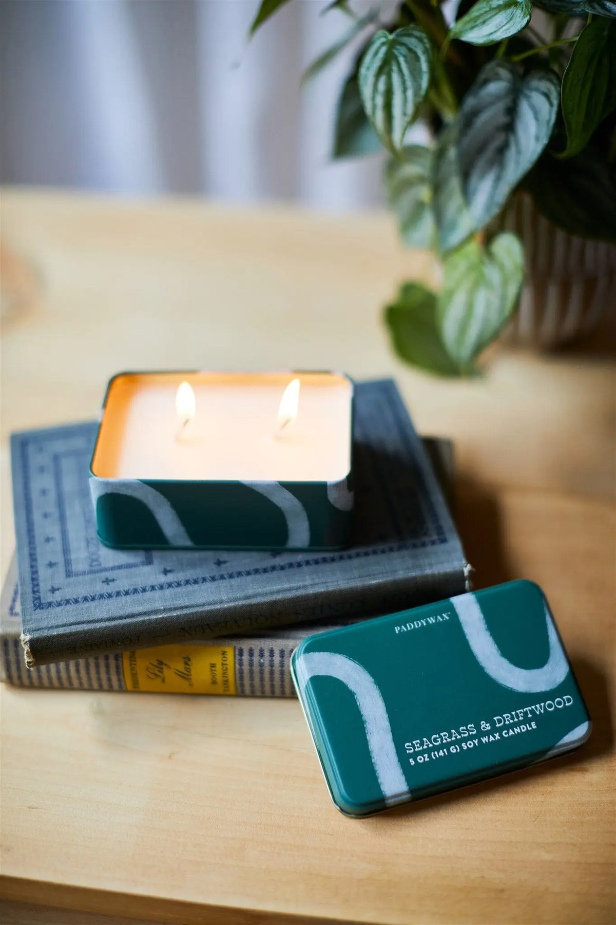 The Seagrass & Driftwood - 5 oz Tin Candle, in a lit green rectangular tin, rests on stacked books beside its lid, with a leafy plant in the background.