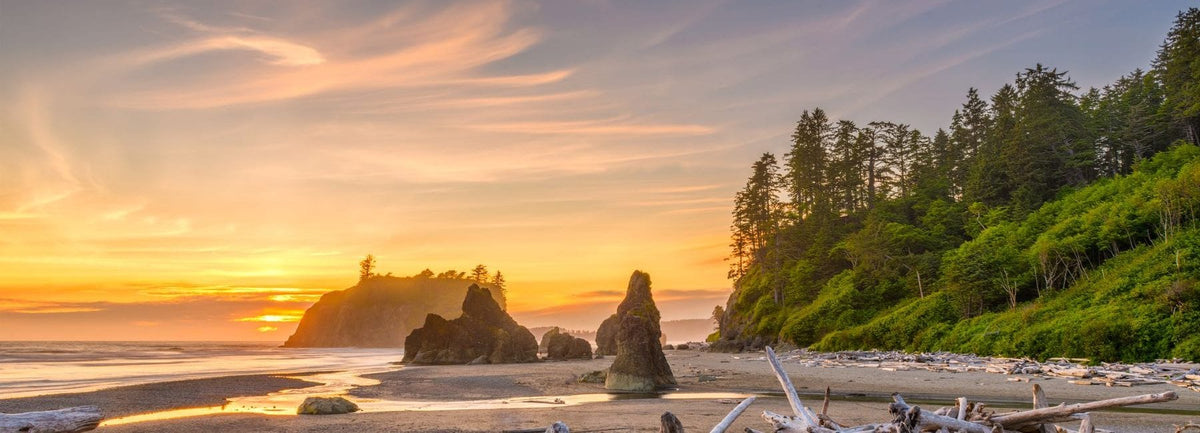 A scenic beach at sunset with sea stacks, driftwood on the sand, and tall evergreen trees along the shoreline. The sky is orange and pink, reflecting the setting sun over the calm ocean.