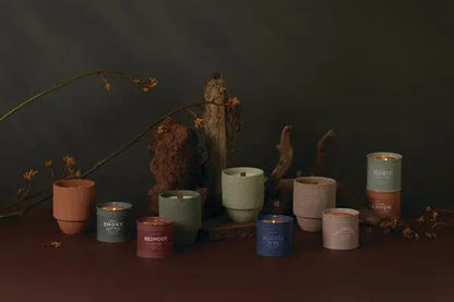The Olympic - Parks 6 oz Tin Candle is displayed alongside other National Park Candles on a dark surface with dried branches and wood—an ideal gift for outdoor enthusiasts.