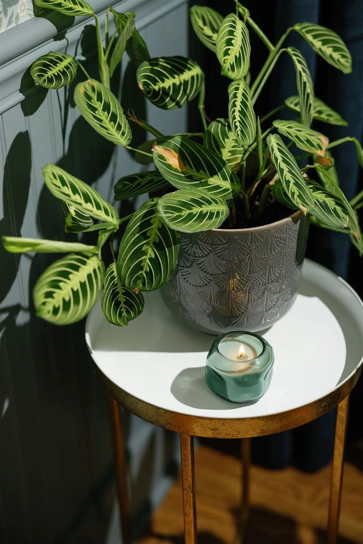 A potted prayer plant with patterned green leaves sits on a round white and gold table beside a small lit Fresh Air & Sea Salt - Basalt 5 oz Candle, filling the space with the gentle scent of ocean air.