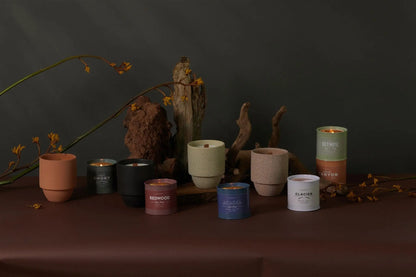 A row of lit and unlit candles, including the Glacier - Parks 6 oz Tin Candle, is displayed in ceramic and tin containers on a brown surface with driftwood and dried branches against a dark background.