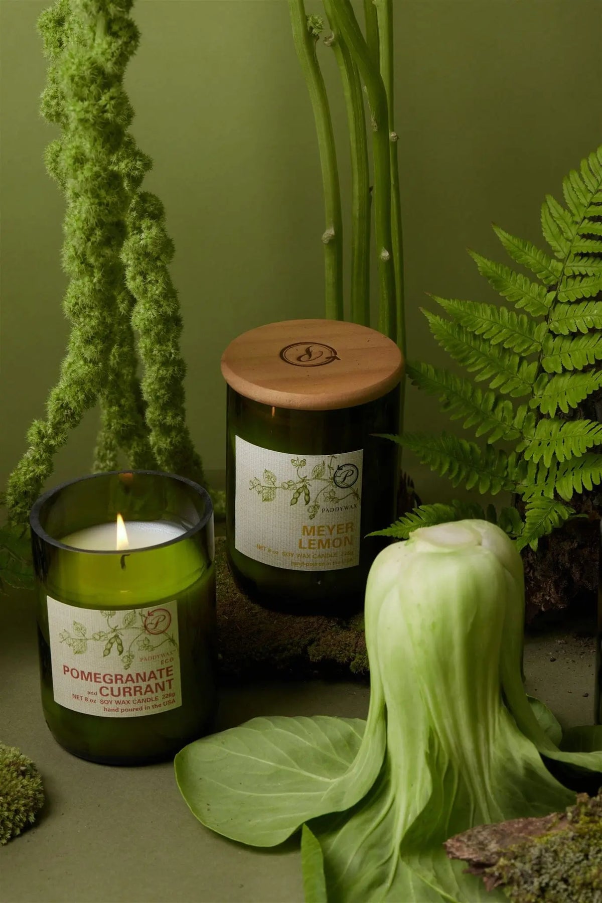 The Meyer Lemon - Eco 8 oz Candle sits among ferns, moss, and leafy greens, creating a fresh botanical display on a green background that highlights its sustainable design.