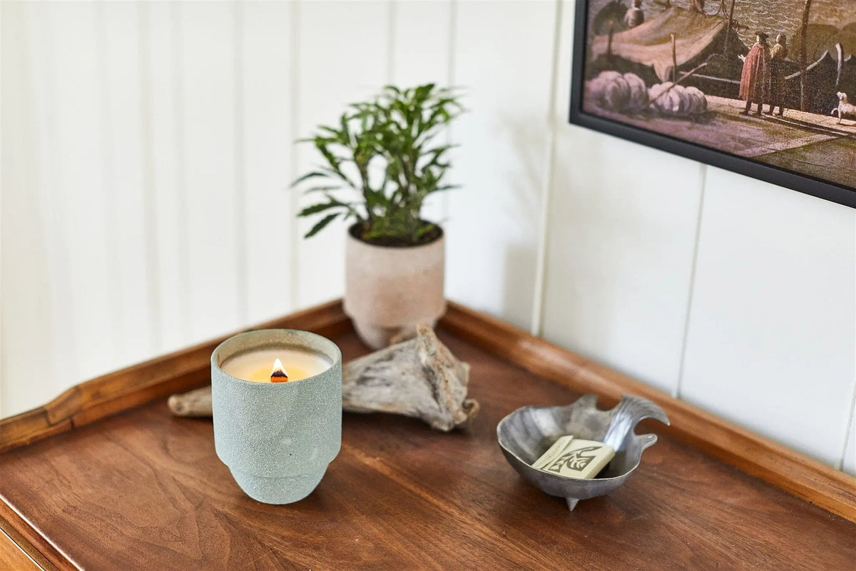 A lit Olympic - Parks 11 oz Candle with a crackling wood wick, a small potted plant, driftwood, and a decorative dish holding cards are arranged on a wooden tray table next to framed wall art.