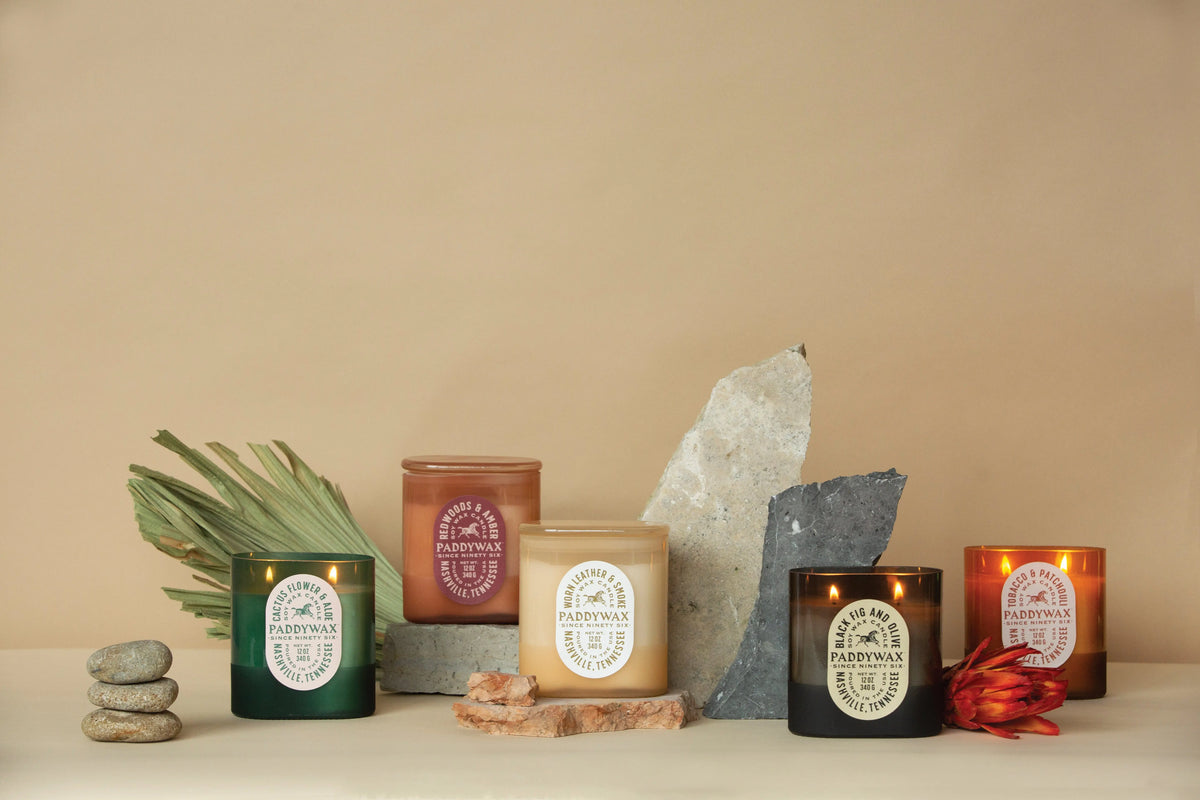 Five Paddywax candles from the Vista collection, each housed in a uniquely colored glass vessel, are arranged on a beige surface adorned with stones, leaves, rocks, and a red flower against a neutral background. All of the candles are unlit except for the Redwoods + Amber - Vista 12 oz Candle in the black jar, which is burning.