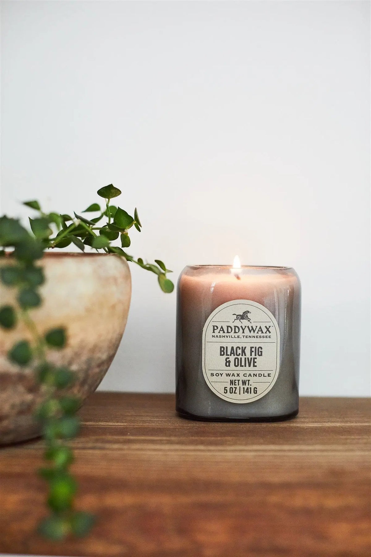 A lit Black Fig & Olive - Vista 5 oz Candle rests on a wooden surface beside a ceramic planter with trailing vines, adding modern decor and a luxurious scent against a plain white background.