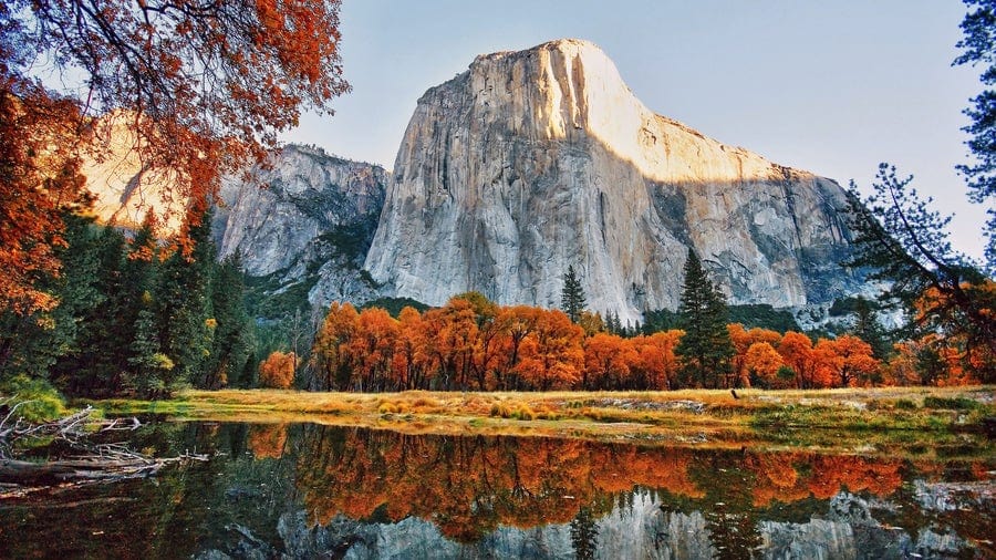 El Capitan in Yosemite National Park rises above colorful autumn trees and a calm reflective river, with clear blue sky and sunlight illuminating the granite cliff.