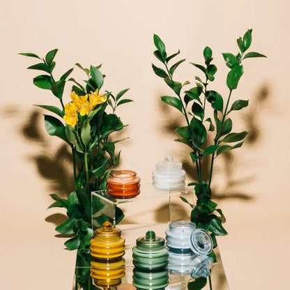 Four Misted Lime - Beam 3 oz Candle jars with lids are arranged on mirrored surfaces among green plants and yellow flowers, casting a serene ambient glow against a beige background.