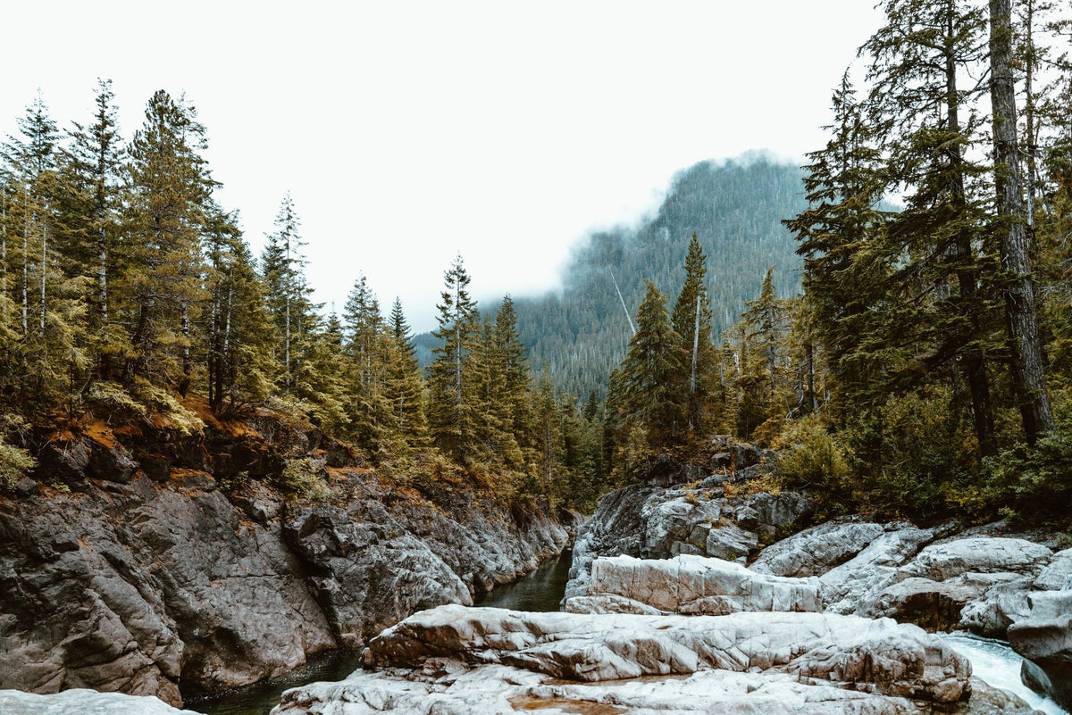 A scenic river flows through rocky terrain surrounded by dense evergreen forest, with mist partially covering a distant mountain in the background under a cloudy sky.