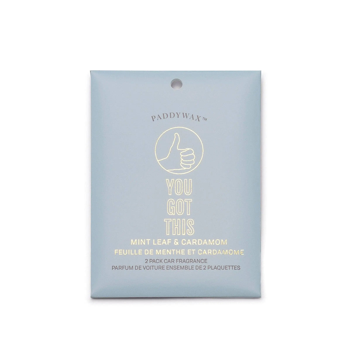 A light blue "You Got This" Impressions Car Fragrance by Paddywax in Mint Leaf + Cardamom scent.
