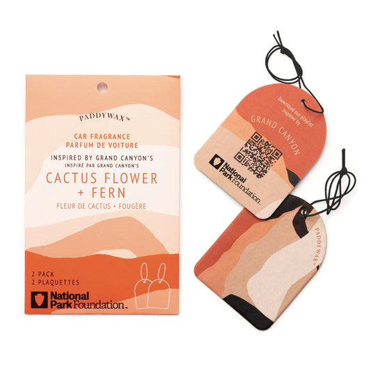 A package containing two Grand Canyon - Parks Car Fragrance air fresheners labeled "Cactus Flower + Fern" features abstract desert colors, black strings, and National Park Foundation branding. One distinctive car fragrance includes a convenient QR code.